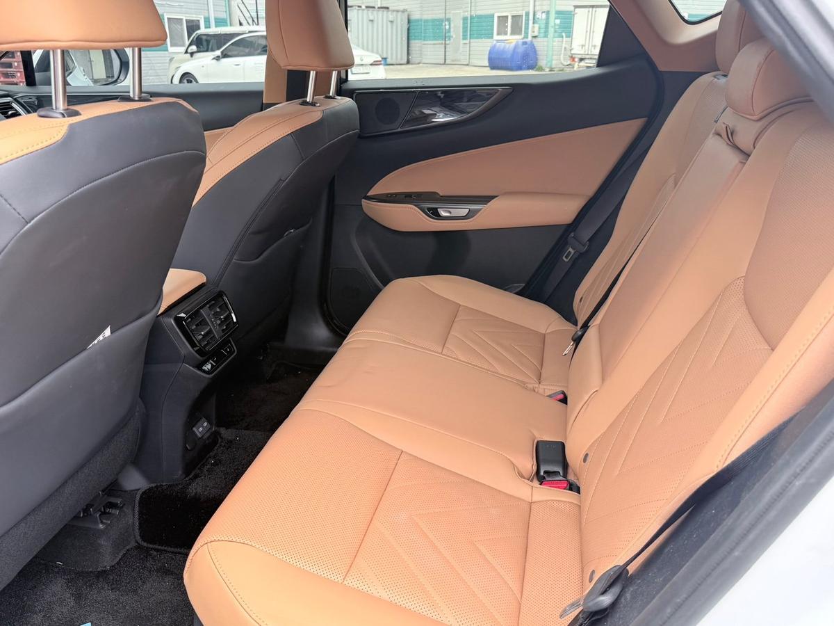 렉서스 NX 프리미엄 사진 8