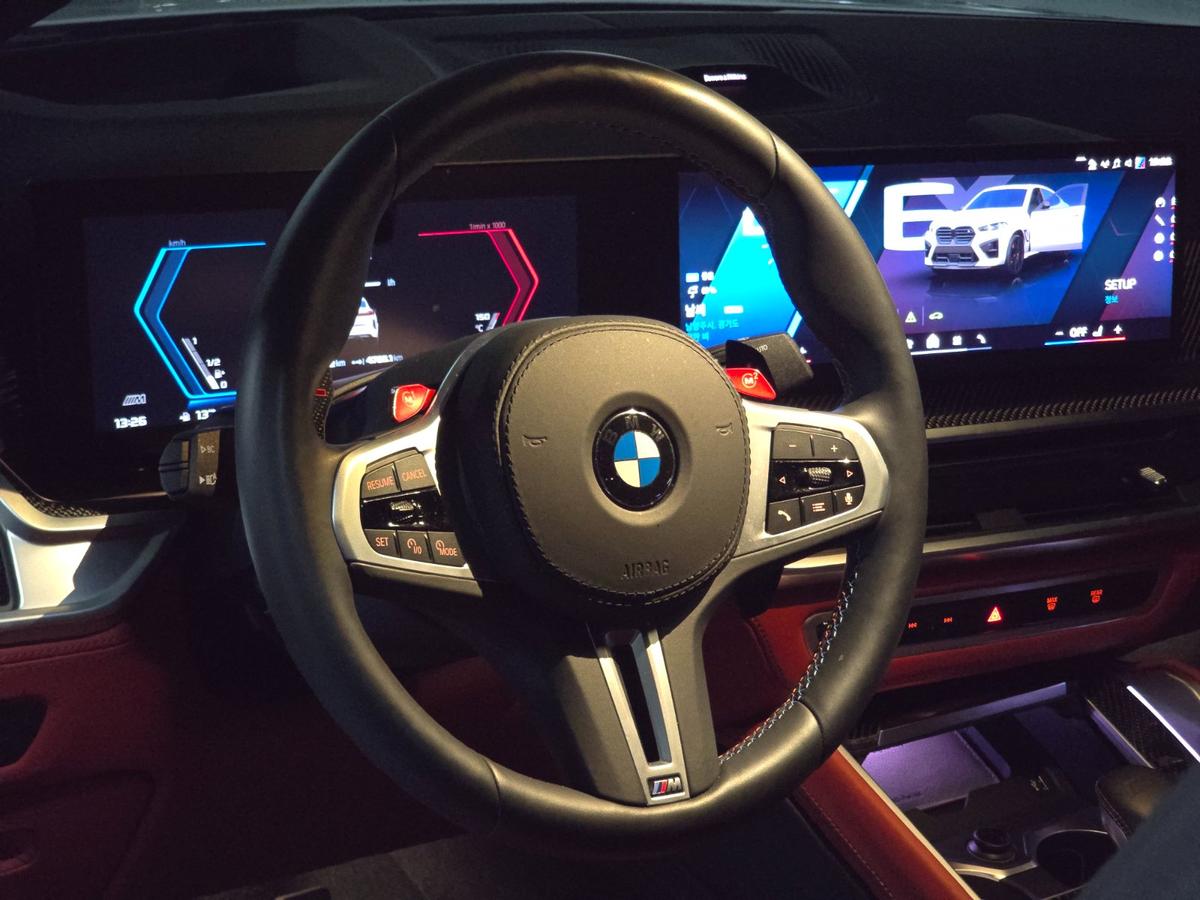 BMW X6M 4.4 컴페티션 사진 10